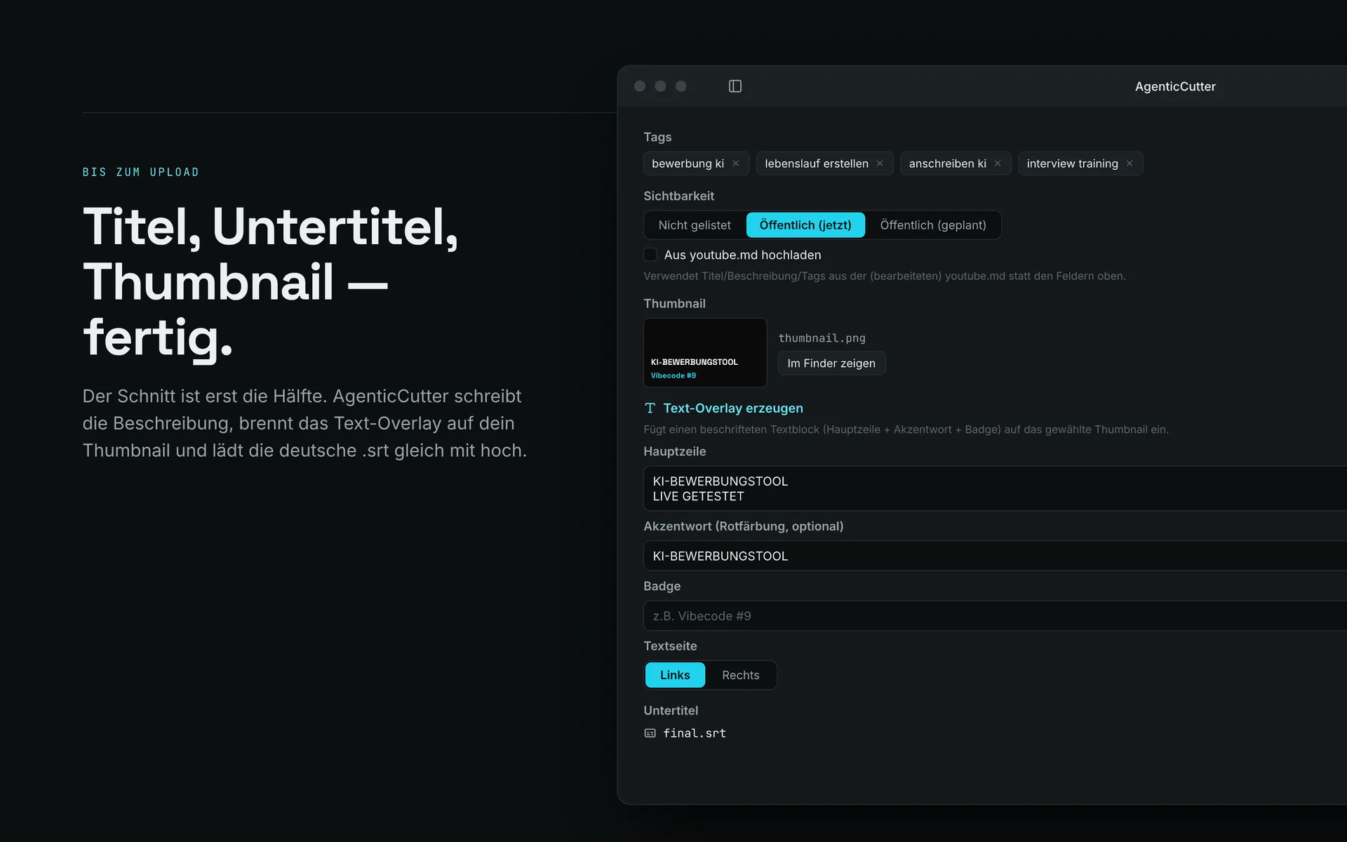 Publish-Fenster mit Titel, Beschreibung, Kapiteln und Thumbnail-Auswahl